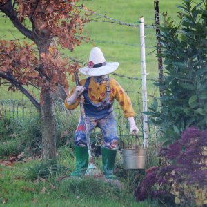 Gardener photo