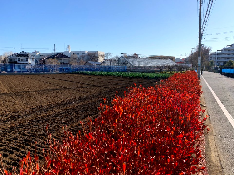 Minamisawa in Higashikurume