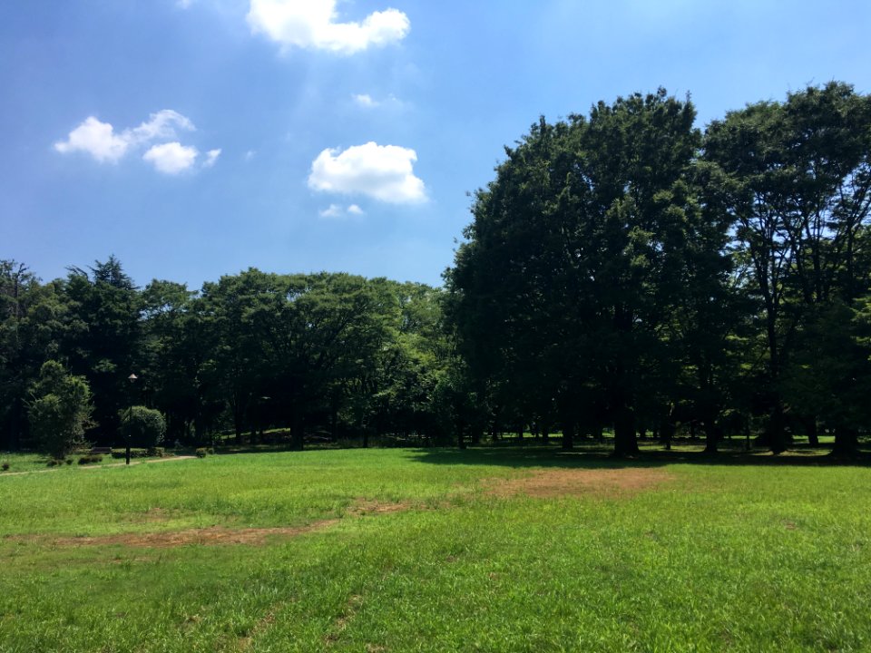 Koganei Park in Kodaira-shi