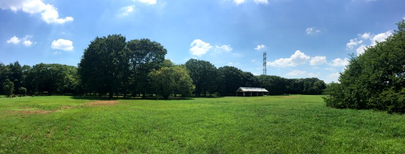 Koganei Park in Kodaira-shi