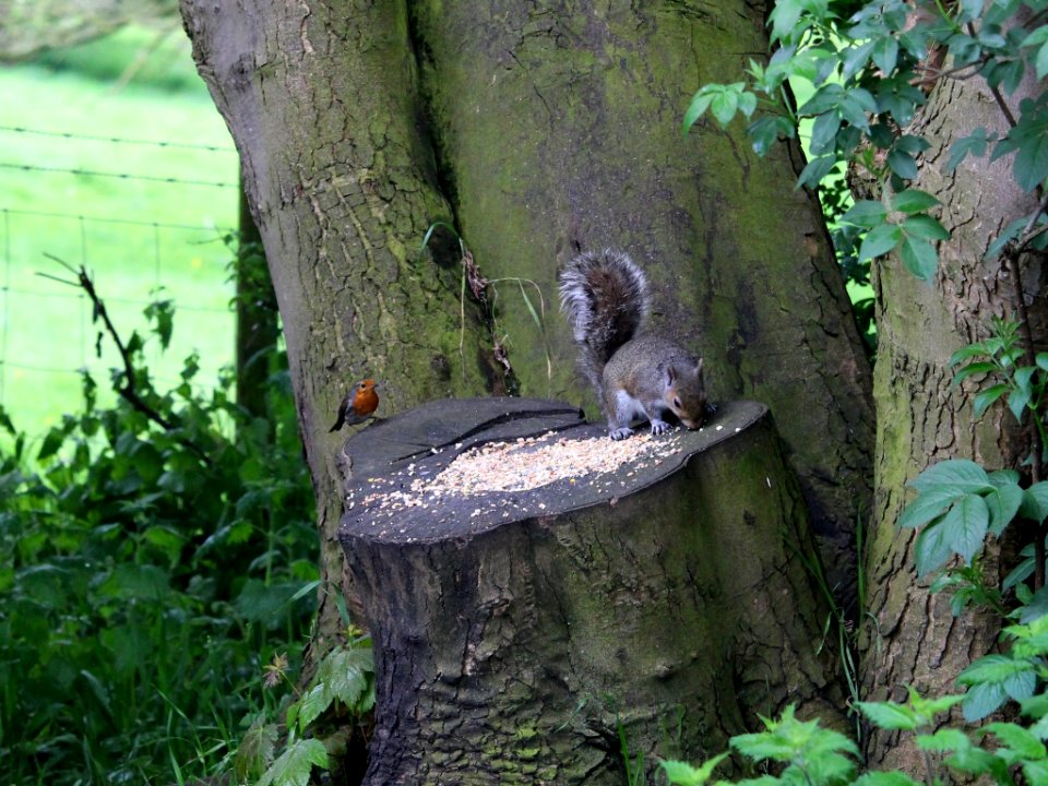 "Help yourself why don't you"!
