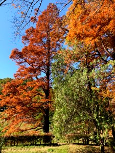 Sayama Park in Higashimurayama-shi