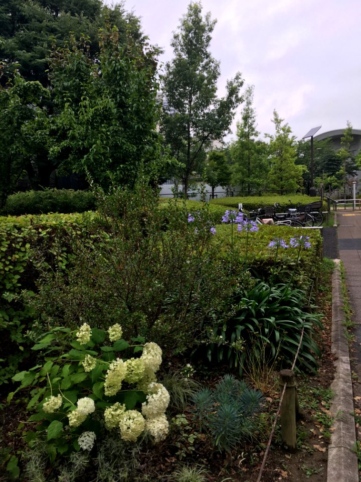 Musashi Kokubunji Park in Kokubunji-shi
