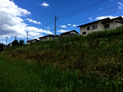 Nakazato in Kiyose-shi