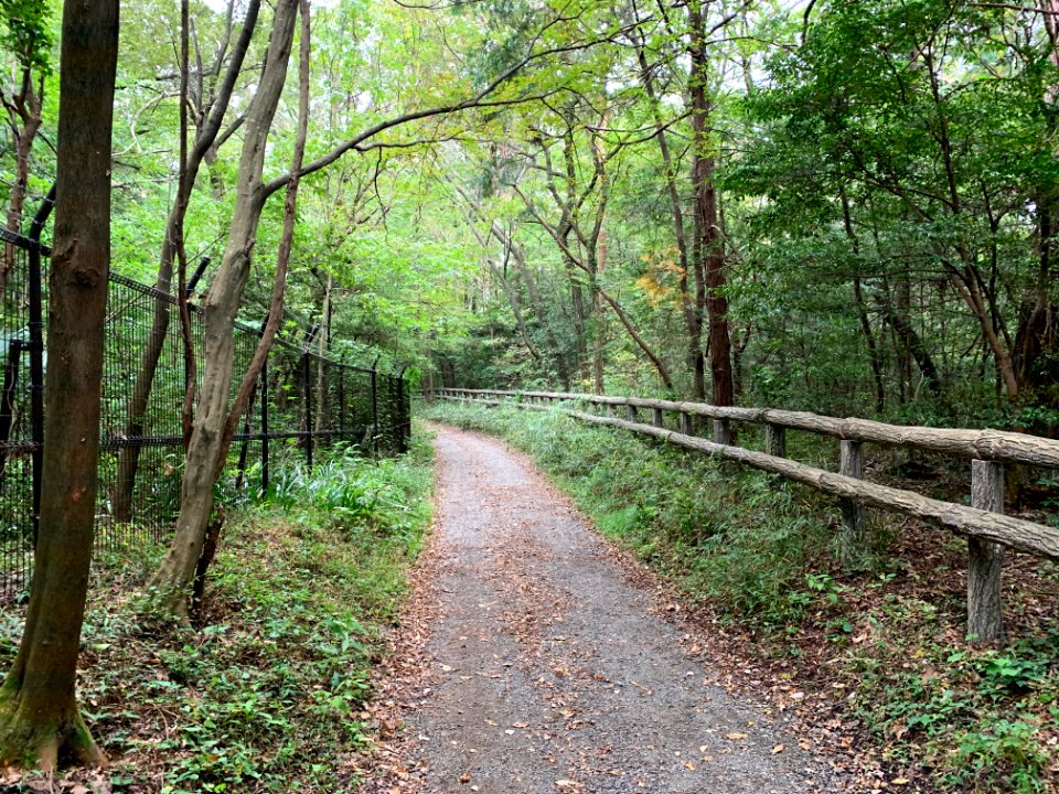 Noyamakita-Rokudoyama Park in Mitsugi, Musashimurayama-shi