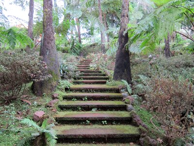 Nature humidity way