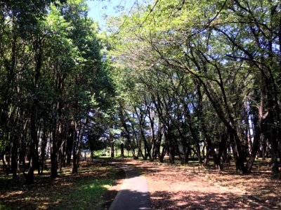 Mizuho Eco Park in Mizuho-machi