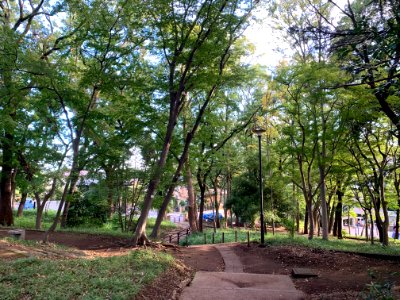 Horai Park in Ota-ku