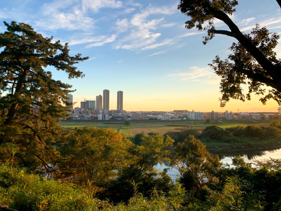 Tamagawadai Park in Ota-ku