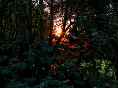 Goodnight Sun
