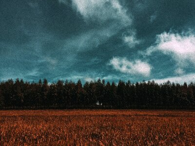 Farmland grain countryside photo