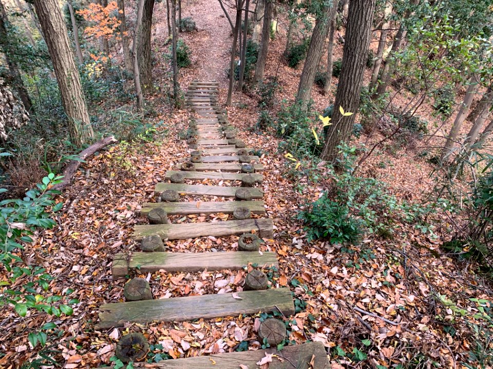Shiroyama Park in Inagi-shi