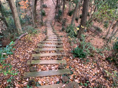 Shiroyama Park in Inagi-shi