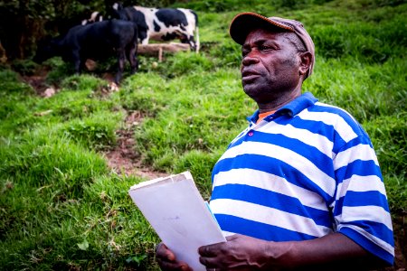 USAID Measuring Impact Conservation Enterprise Retrospective (Uganda; International Gorilla Conservation Program) photo