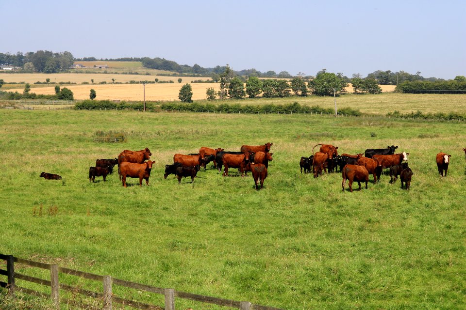 Northumber-farm-land 07