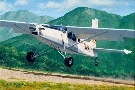 Pilatus PC-6 Turbo Porter
