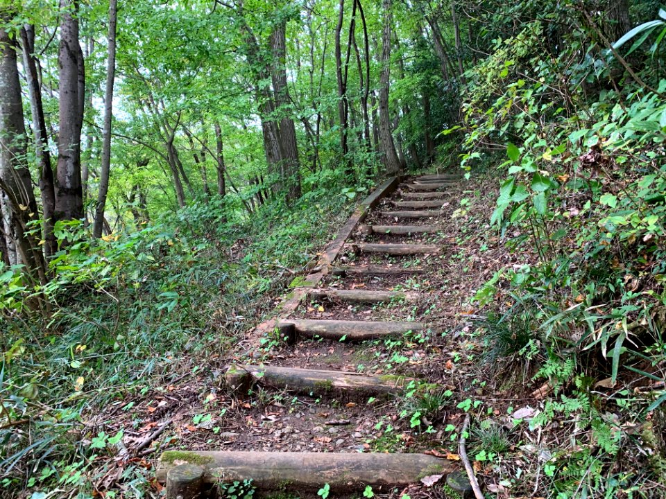 Noyamakita-Rokudoyama Park in Mitsugi, Musashimurayama-shi