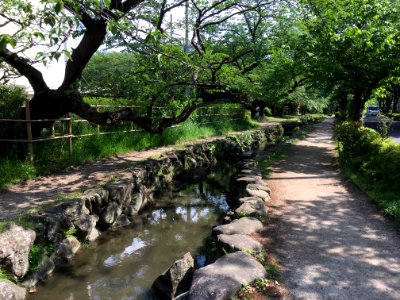 Shimoshinozakimachi in Edogawa-ku, Tokyo