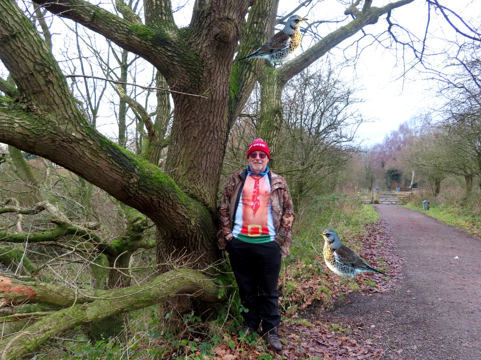 "We're Behind You",  say the Fieldfare.