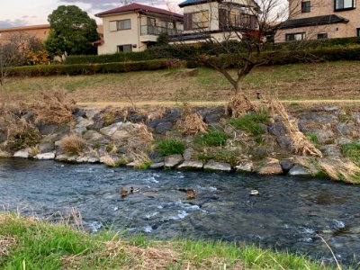Nakazato in Kiyose-shi