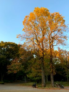 Hikarigaoka Park in Nerima-ku