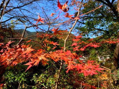 Akagawa Valley in Akiruno-shi