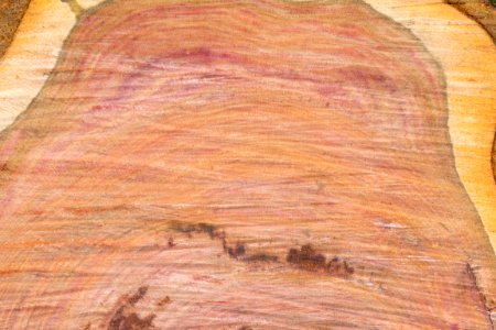 cut wood