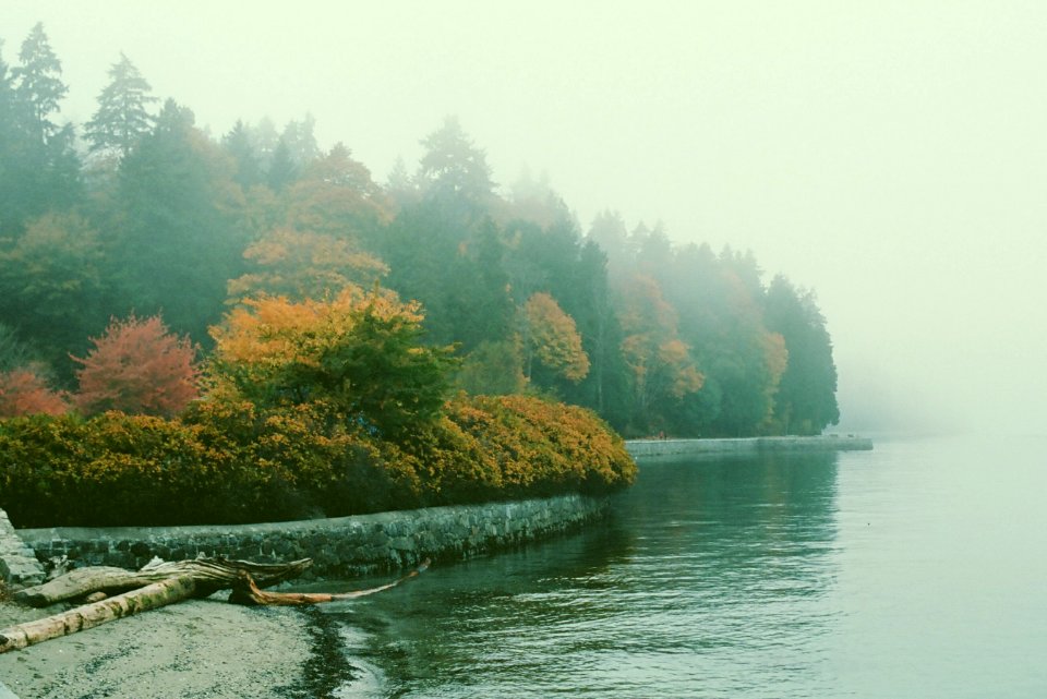 Seawall in Fog (Stanley Park)