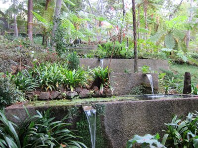Garden water park photo