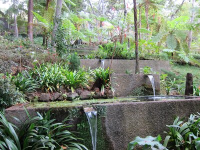 Garden water park