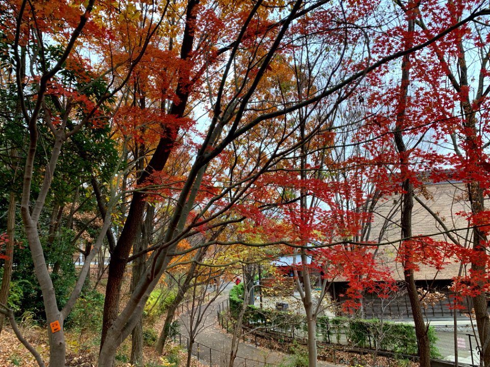 Akabane Nature Observatory Park in Kita-ku