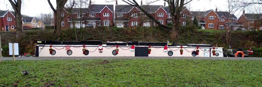 Festive Boat photo