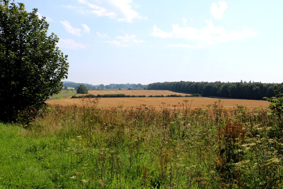 Northumber-farm-land 04