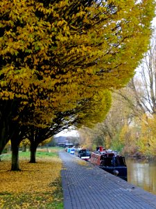 Late Autumn Towpath photo