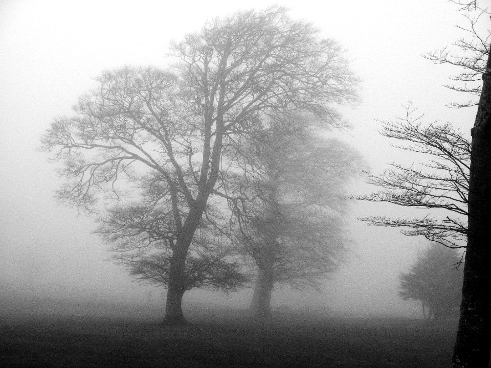 Castlebar golf club in the fog