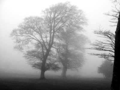 Castlebar golf club in the fog photo