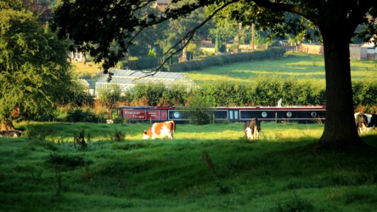 Canal Narrowboat photo