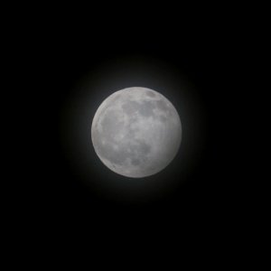 Wolf Moon over Wheelock photo