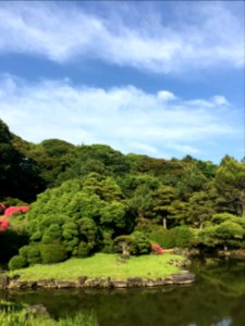 Koishikawa Botanical Garden in Bunkyo-ku, Tokyo