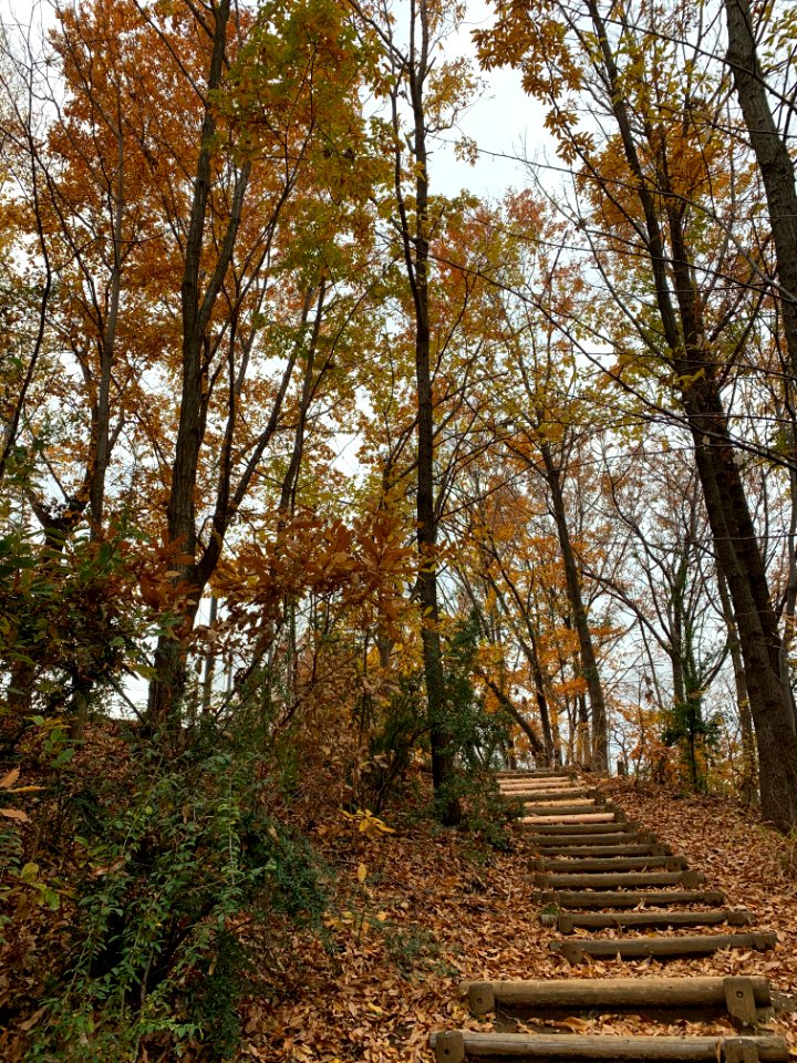 Akabane Nature Observatory Park in Kita-ku