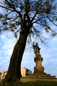 St. John of Nepomuk–Litomysl photo