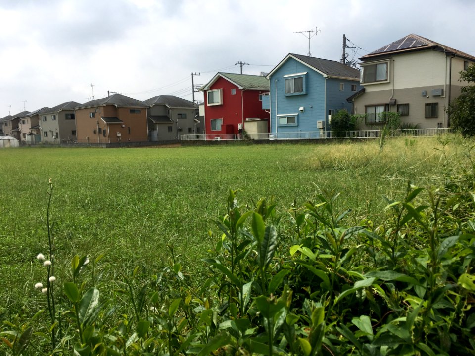 Shimokiyoto in Kiyose-shi