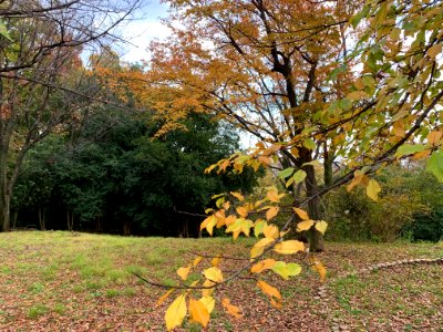 Akatsuka Park in Itabashi-ku