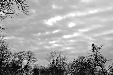 black and white