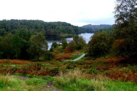 Tarn Hows 04 photo