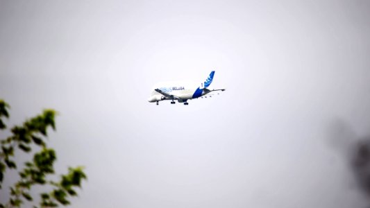 Airbus 1 photo