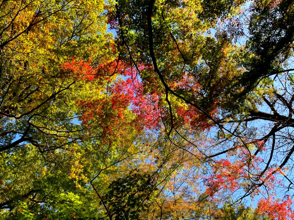 Sayama Park in Higashimurayama-shi