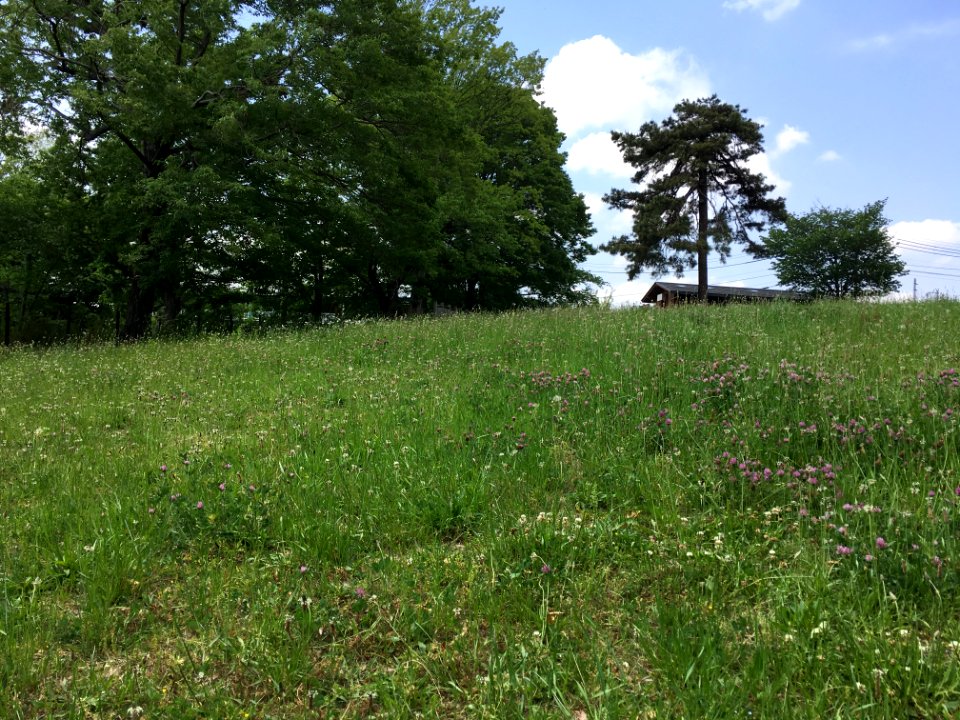 Hachikokuyama Park in Higashimurayama-shi 1