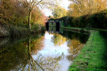 Tranquil Towpath photo