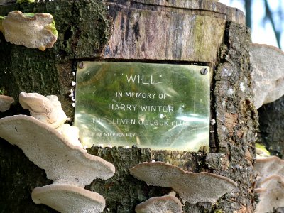 "Will" photo